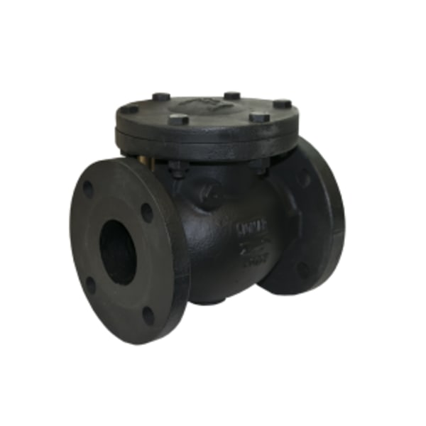 2-1/2" Flanged - C.I. SWING CHECK VALVE CLASS 125