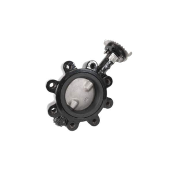 8" - Lug Style, Epoxy-Coated Ductile Iron Body, Stainless Steel Disc
