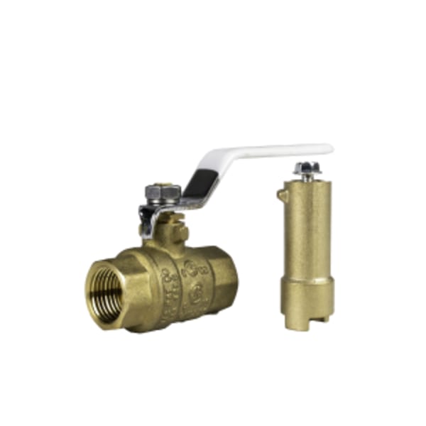 1" FIP - Full Port, 2 Piece, Threaded Connection, with Stem Extension 600 WOG