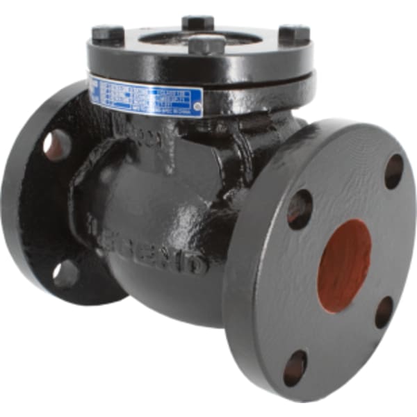 6" - Flange x Flange, Cast Iron Swing Check Valve