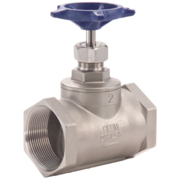 2" - FIP x FIP, 316 Stainless Steel Globe Valve