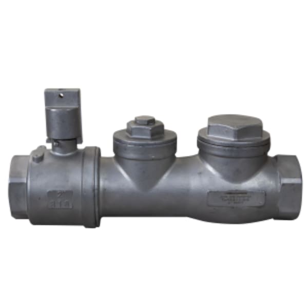 Curb stop/Swing check valve assembly, 316 Stainless steel, 2" FNPT