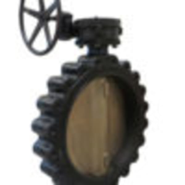 20" - Lug Pattern - Ductile Iron  Butterfly Valve - 250 PSI, EPDM Liner, Stainless CF8M Disc