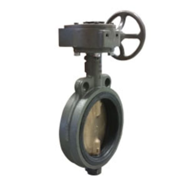 2-1/2" - Wafer Pattern - Cast Iron  Butterfly Valve - 200 PSI, EPDM Seat, Bronze Disc