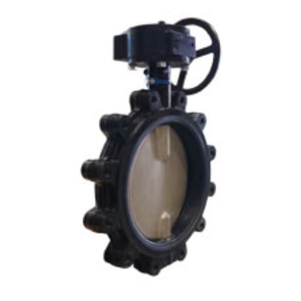 4" - Lug Pattern - Ductile Iron  Butterfly Valve - 250 PSI, Buna-N Liner, Stainless CF8M Disc