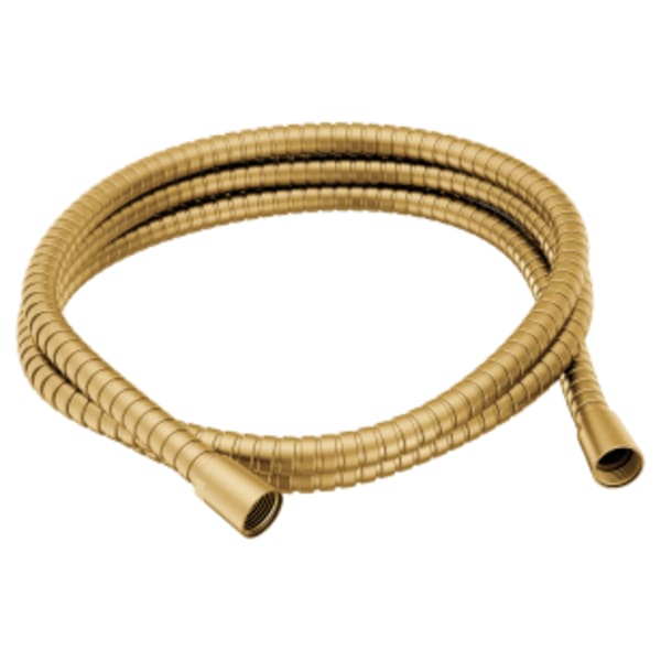 Moen Brushed gold handheld shower hose