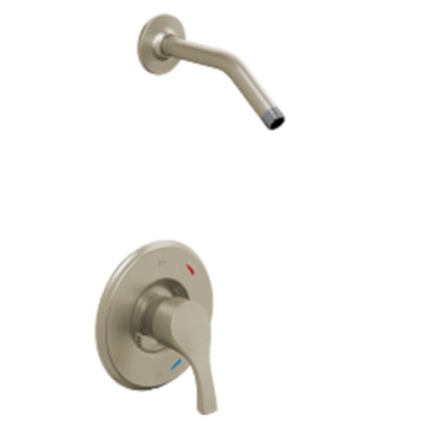 CFG Ash Brushed nickel cycling shower only