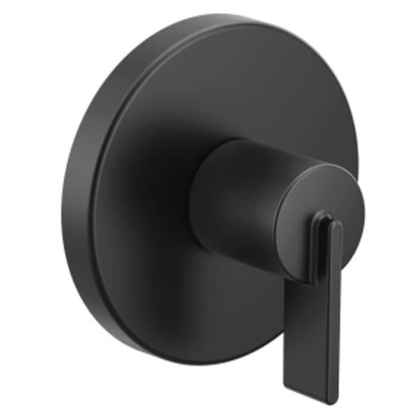 Moen Cia Matte black M-CORE transfer vertical spa