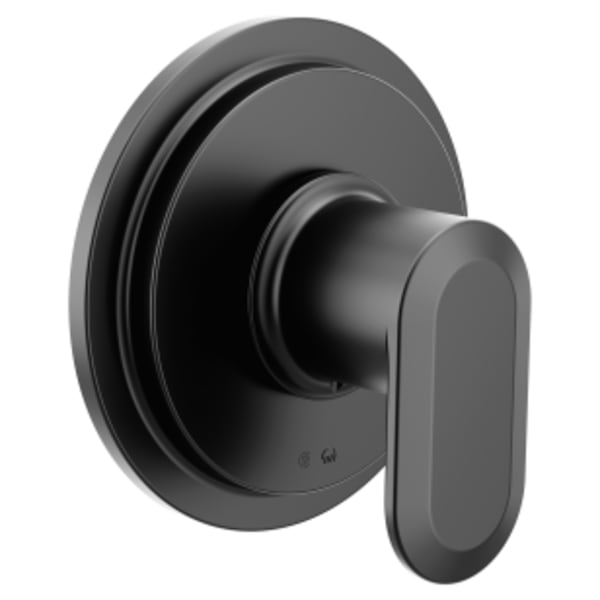 Moen Greenfield Matte black M-CORE transfer vertical spa