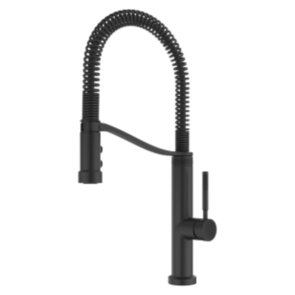 Bruton Culinary Single-Handle Pull Down Kitchen Faucet in Matte Black