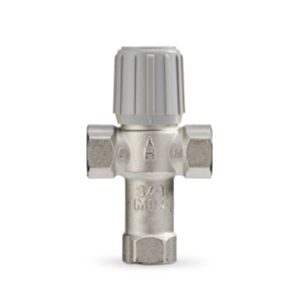 1 in NPT Mixing Valve LF - STD