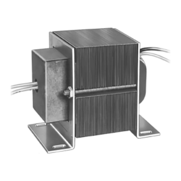Foot mounted 120 V AC Transformer with 12 in leadwires and internally fused secondary for overload protection.