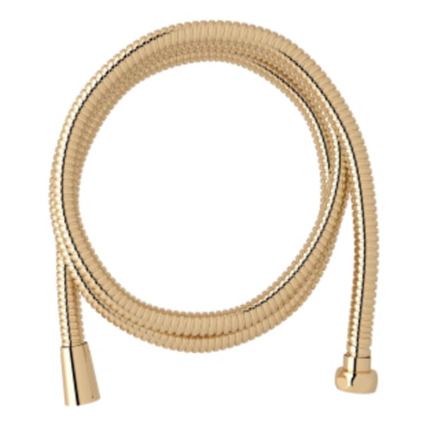58" Flexible Shower Hose in English Gold