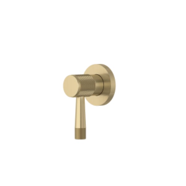 Amahle™ Trim For Volume Control And Diverter in Antique Gold