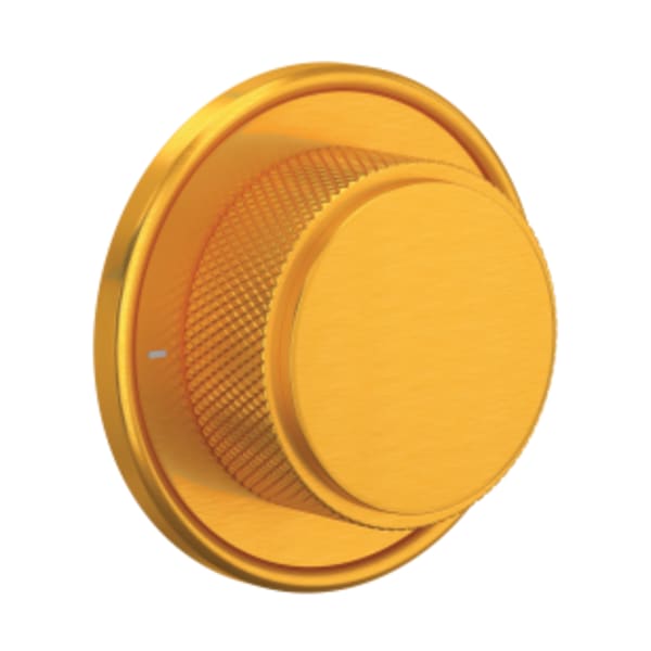 Graceline® Trim For Volume Control in Satin Gold