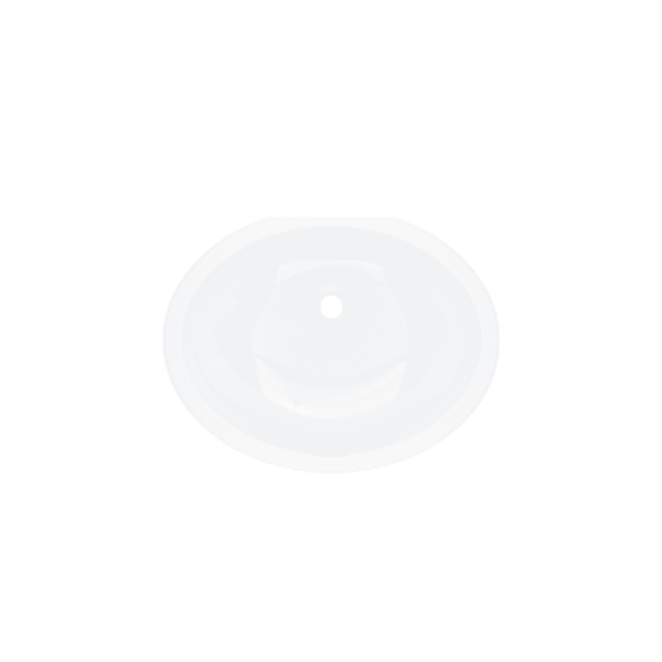 Eirene™ 22" x 17" Undermount Oval Lavatory Sink in White