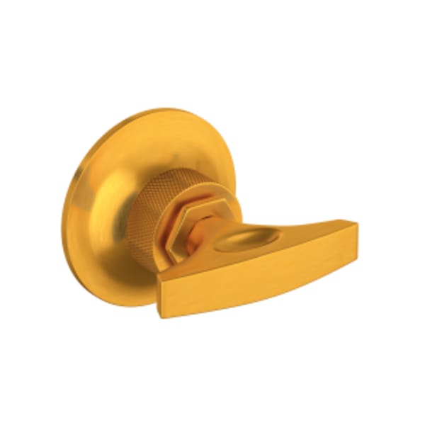 Graceline® Trim For Volume Control And Diverter in Satin Gold