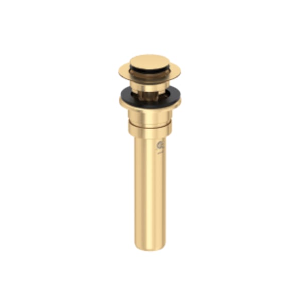 Push Drain With Overflow in Satin English Gold