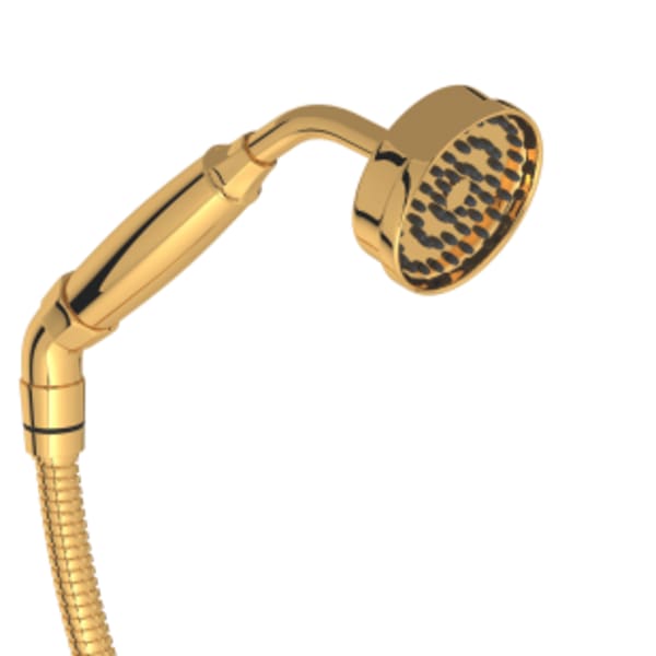 Handshower And Hose in English Gold