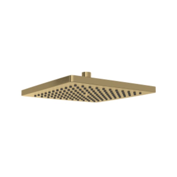 10" Rain Showerhead in Antique Gold