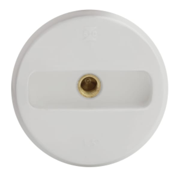 1-1/2" PVC  C/O Plug with Threaded Brass Insert
