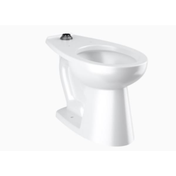 Elongated Floor-Mounted ADA Water Closet (ST2029-STG CL FIX ASM ADA FM TS UNIVER) White Vitreous China