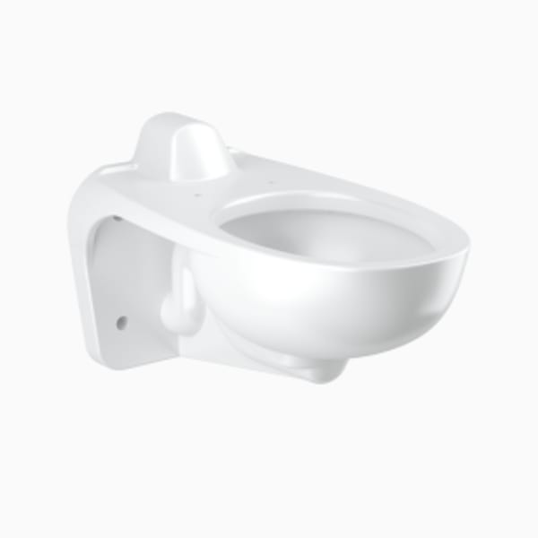 Elongated Wall-Mounted Water Closet (ST2469-STG CL FIXT ASM WM RS UNIV (2.0)) White Vitreous China