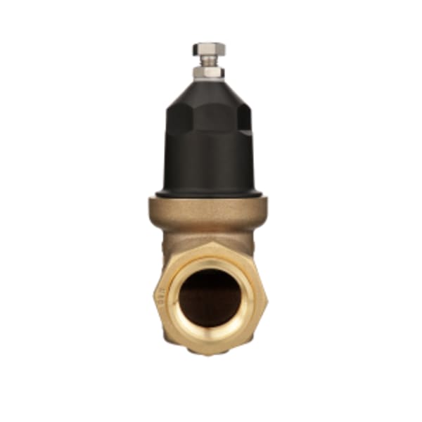 1 in. NR3XL Pressure Reducing Valve, Double Union FNPT Connections
