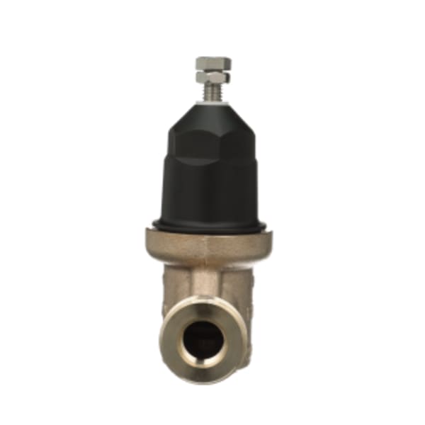 1/2 in. NR3XL Pressure Reducing Valve, Dual Integral FNPT Connections