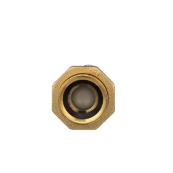 700XL Dual Check Valve 1" X 1"