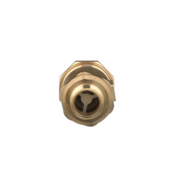 700XL Dual Check Valve with 1" female union inlet x 3/4" female outlet