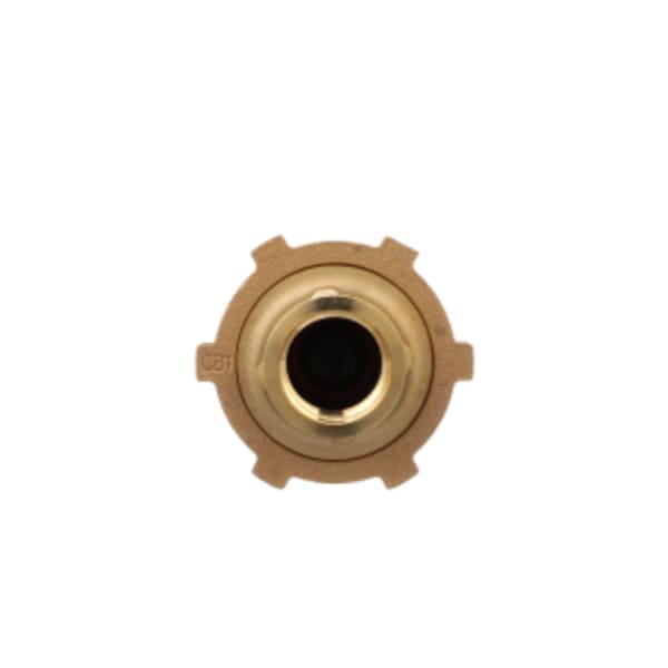 1" Union Female NPT Inlet X 1" Female NPT Outlet 700XLFP Fire Protection/High Capacity Dual Check Valve