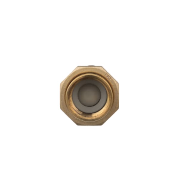 700XL Dual Check Valve with 1" Female Union Inlet x 1" Female Outlet