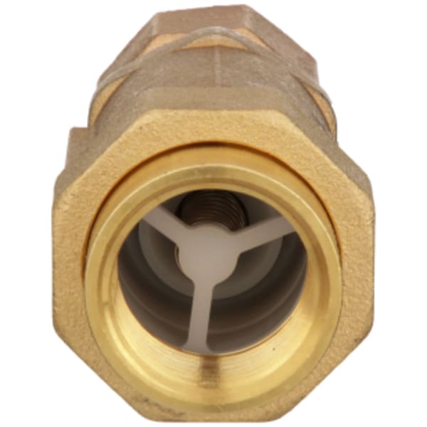 700XL Dual Check Valve with 1" female union inlet x 1" male outlet