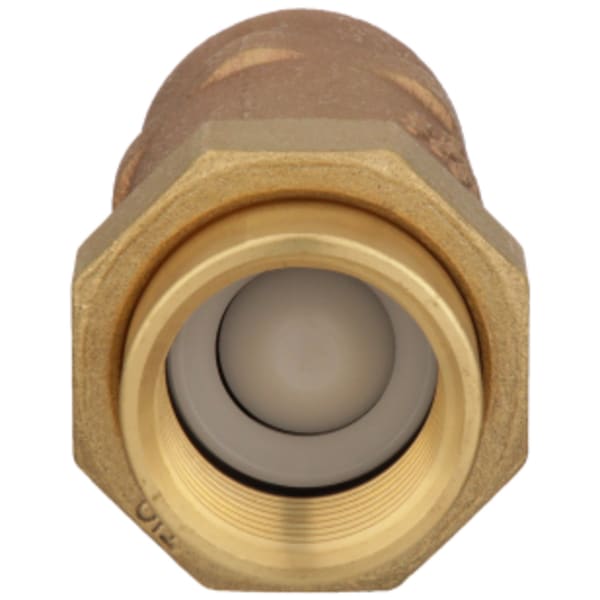 700 Dual Check Valve (1" FNPT x 1" FNPT)