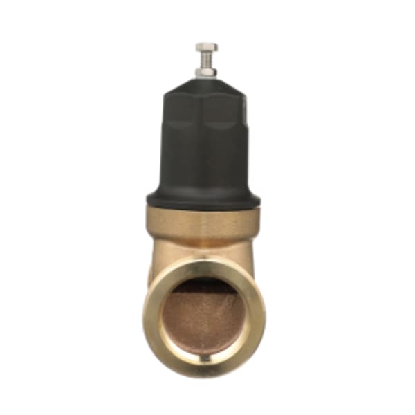 2 in. NR3XL Pressure Reducing Valve, Dual Integral FNPT Connections