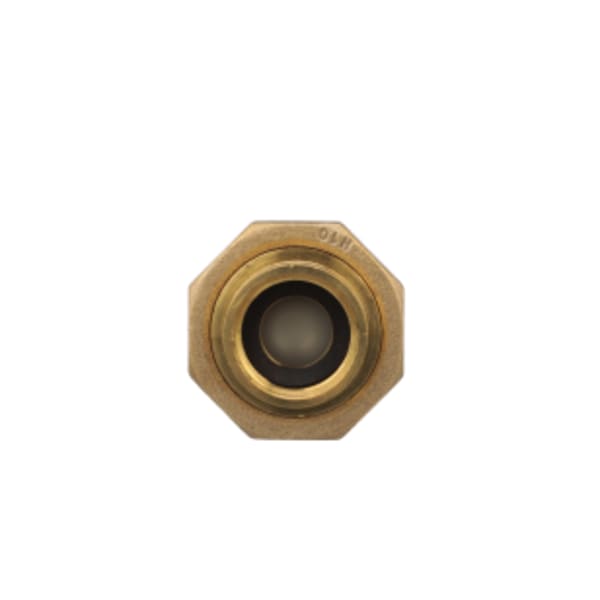 700XL Dual Check Valve with 3/4 female union inlet x 3/4" male outlet