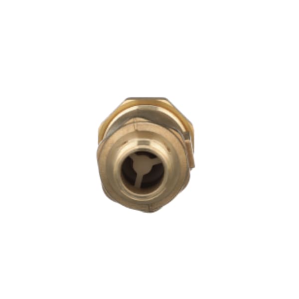700XL Dual Check Valve (3/4" FNTC X 3/4" MMCT)