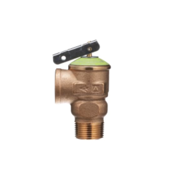 P1000AXL Pressure Relief Valve Set at 125psi