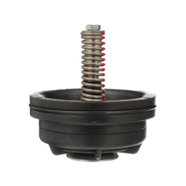 REPAIR KIT, CHECK ASSY, 2-1/2"-3" 375(DA)/475(DA) #1