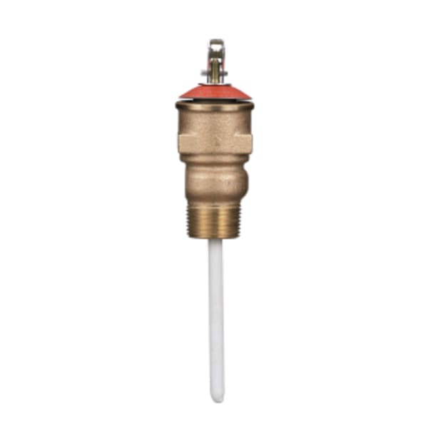 4" Temperature and Pressure Relief Valve