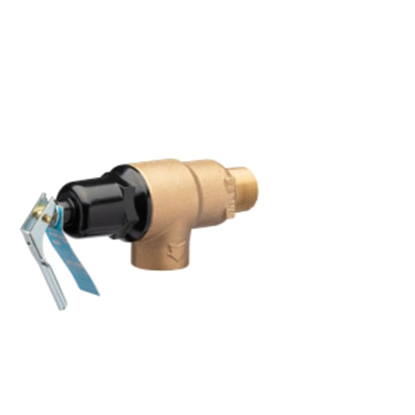 Temperature and Pressure Relief Valve