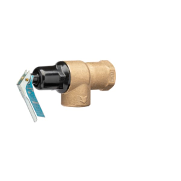 5" Temperature and Pressure Relief Valve  150 PSI CA# FVX-5C
