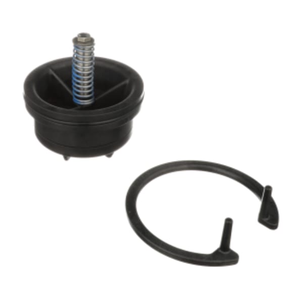 REPAIR KIT, CHECK ASSY, 2-1/2"-3" 375/475 -OR- 350/450 #2