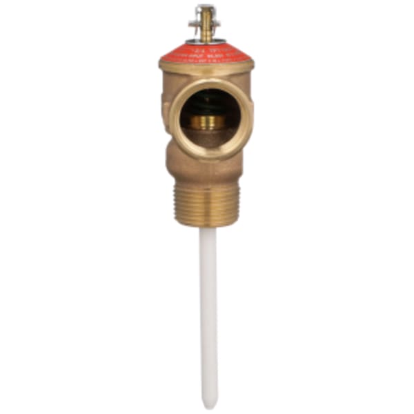 4" Temperature and Pressure Relief Valve