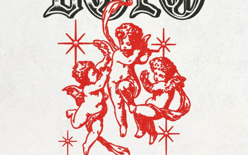 BOLO