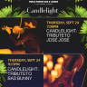 CANDLELIGHT: TRIBUTE TO BAD BUNNY