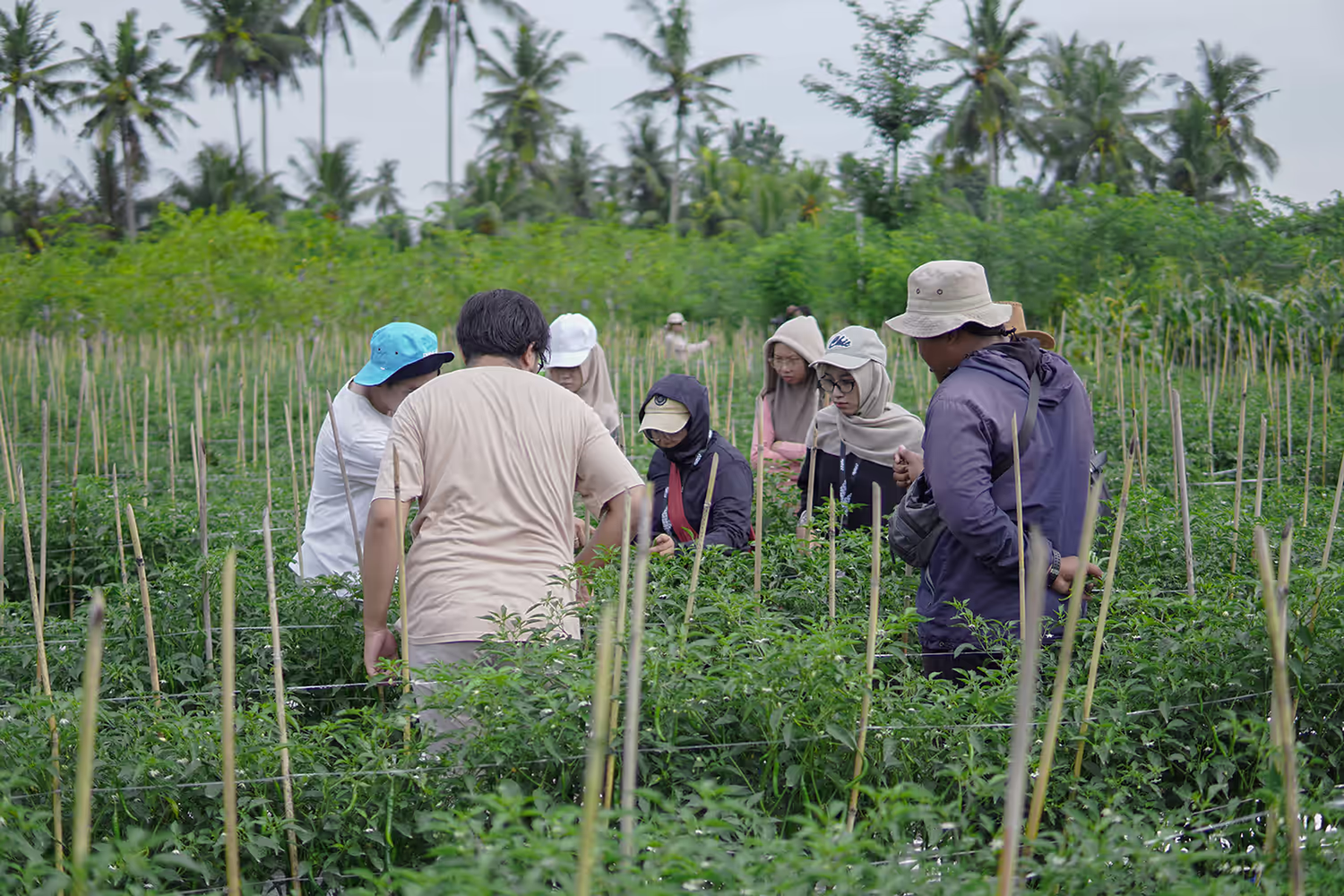 Teamwork — kolaborasi tim ATASI dan petani
