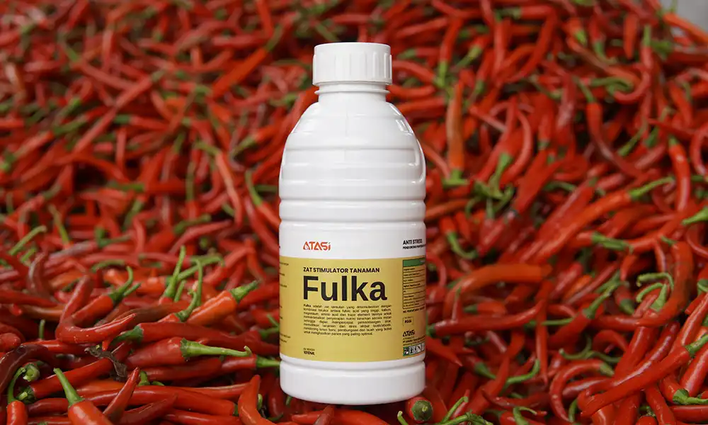 Produk Fulka — Zat Stimulator Tanaman ATASI