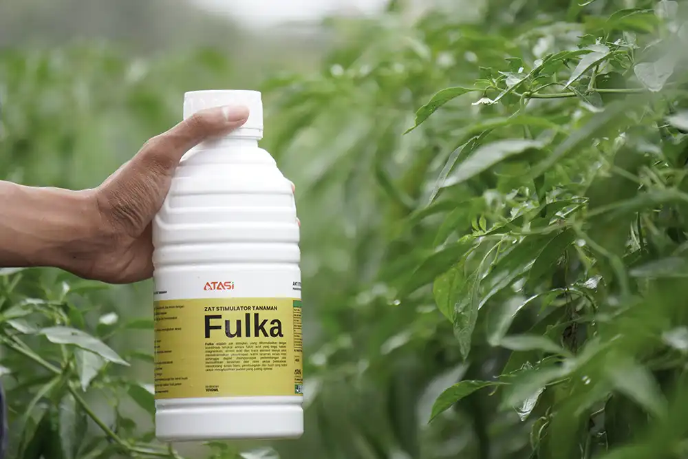 Fulka — Zat Stimulator Tanaman ATASI